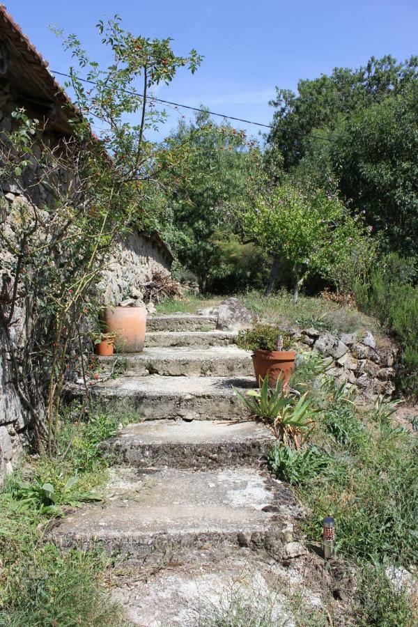 Les Gites Du Mazel Champis Esterno foto